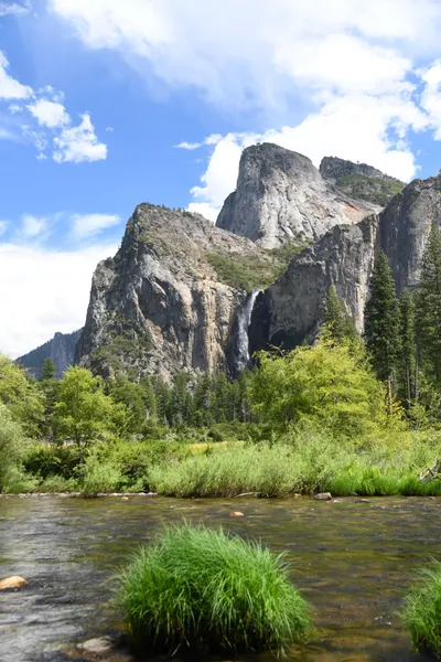 DSC_4355 (Large).JPG